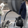 Tom Cruise and Ana de Armas Spark Romance Rumors With Cozy Cinema Outing Sinners Dough Liman